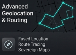 Case Studies 29 Geolocation and Routing